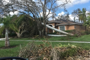 hallandale beach public adjusters