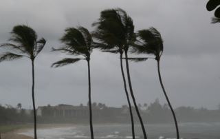 hurricane insurance Florida