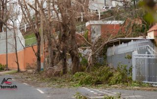 hurricane damage