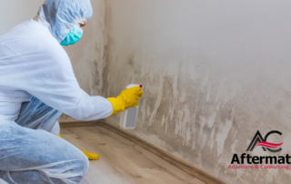 remediation of mold